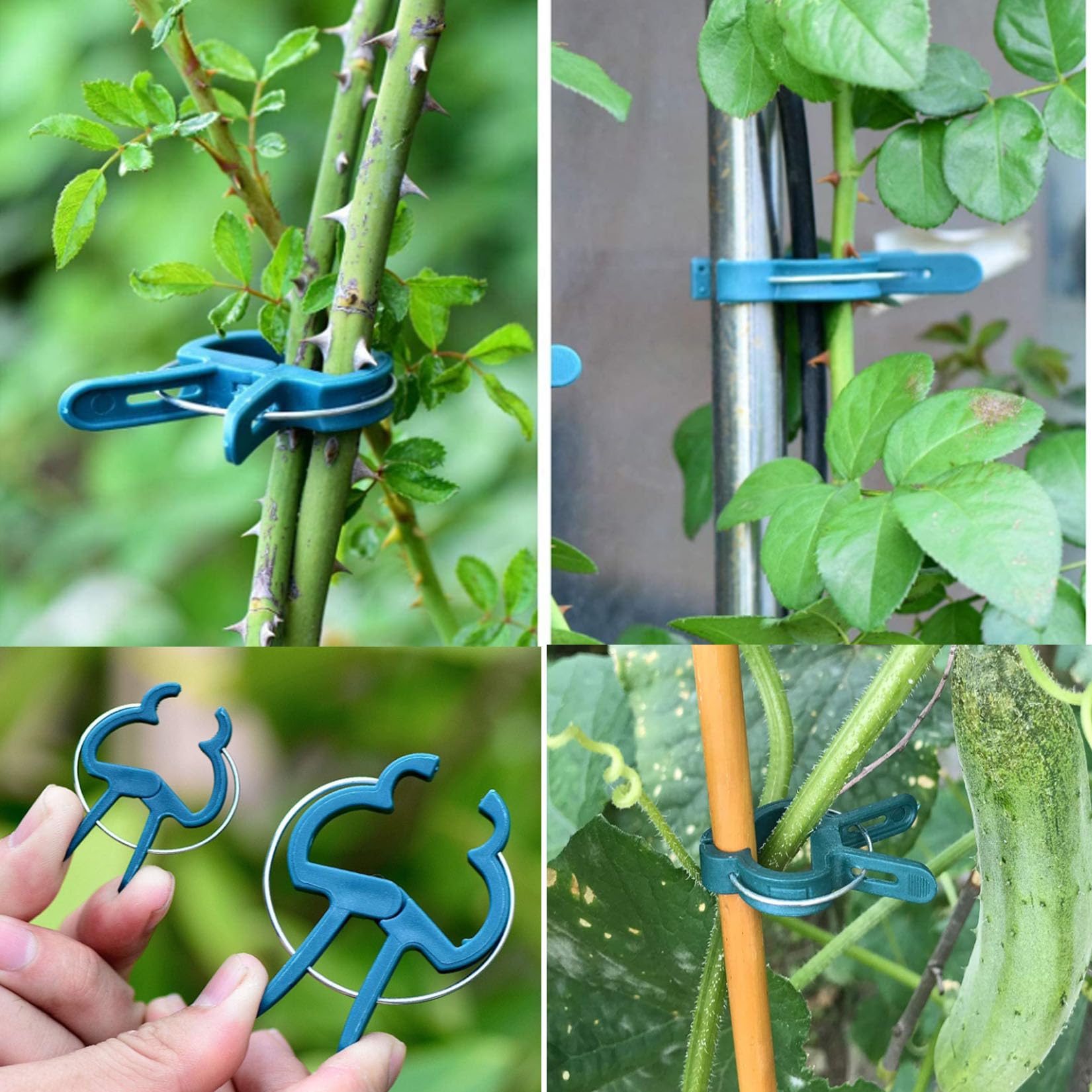 Amazon.co.jp: 誘引クリップ40pcs 植物クリップ2サイズ 園芸 支柱